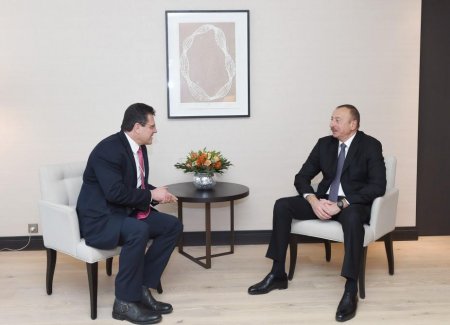 İlham Əliyev Avropa Komissiyasının vitse-prezidenti ilə görüşdü