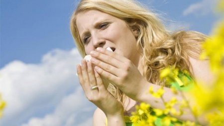 Allergiyadan ömürlük xilas olmaq İSTƏYİRSİZ?