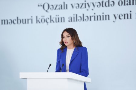 Azərbaycan tərəqqi yolu ilə gedir - Mehriban Əliyeva