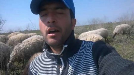 Nazirlikdən Türkiyəni heyran qoyan çobanla bağlı - Açıqlama