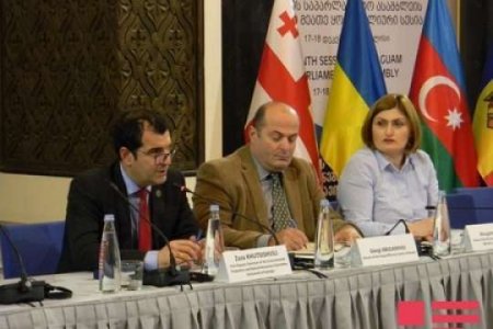 Gürcü deputat: “Azərbaycan Gürcüstanı problemsiz olaraq təbii qazla təmin edir”