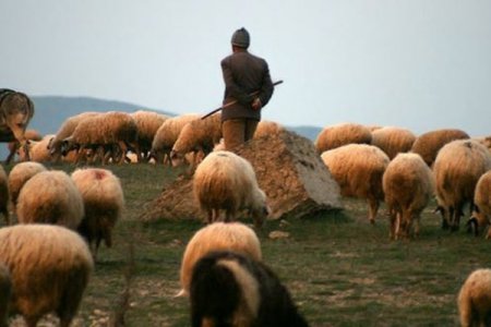 Çoban ailəsinin 2 körpə övladı öldü- QOBUSTANDA PARTLAYIŞIN TƏFƏRRÜATI