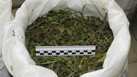Polislər Salyanda  3 kq  narkotik aşkarladı