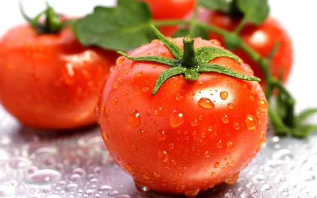 Ölkəmiz Rusiyanın ən böyük pomidor tədarükçüsü oldu