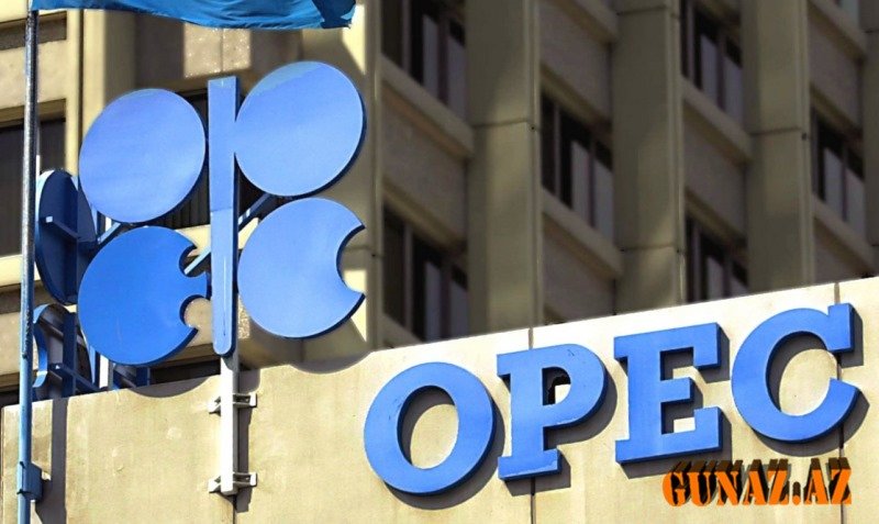 OPEC Azərbaycanla əməkdaşlığı genişləndirmək niyyətindədir