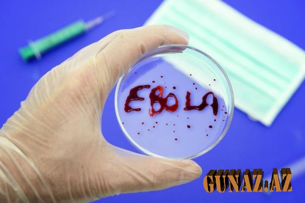 “Ebola”dan ölənlərin sayı durmadan artır