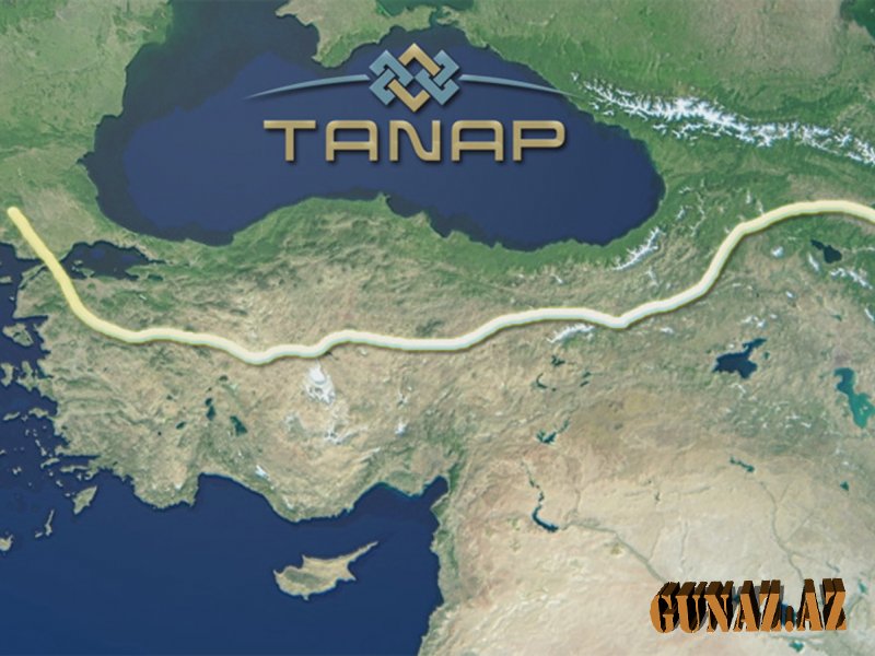 TANAP-ın rəsmi açılış mərasiminin tarixi açıqlanıb