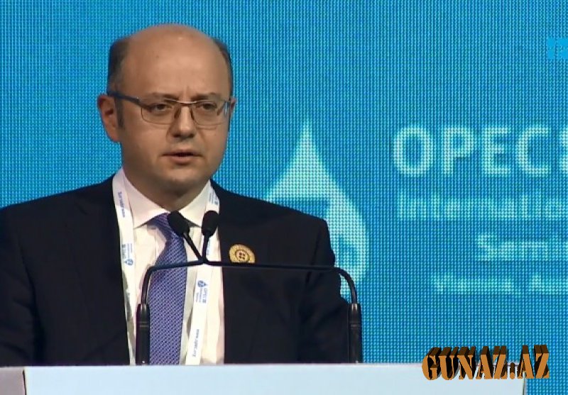 Pərviz Şahbazov OPEC-in tədbirində çıxış edib