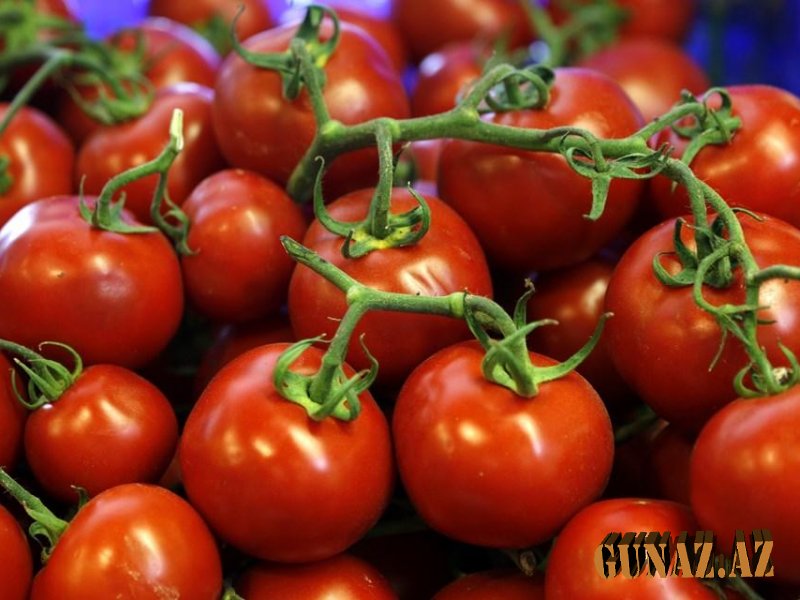Pomidor haqqında bilmədiyimiz maraqlı faktlar