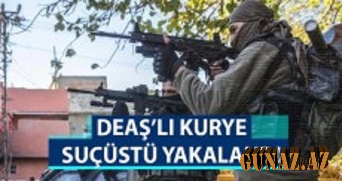 İŞİD-çı PKK-lıların evində tutuldu: TERRORÇULAR ARASINDA İŞ BİRLİYİ