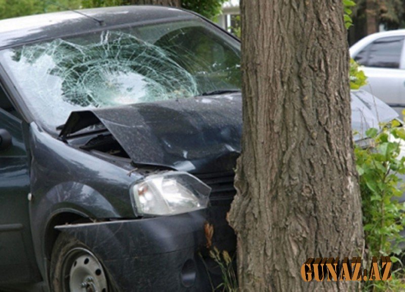Avtomobil ağaca çırpıldı: 1 nəfər ölüb