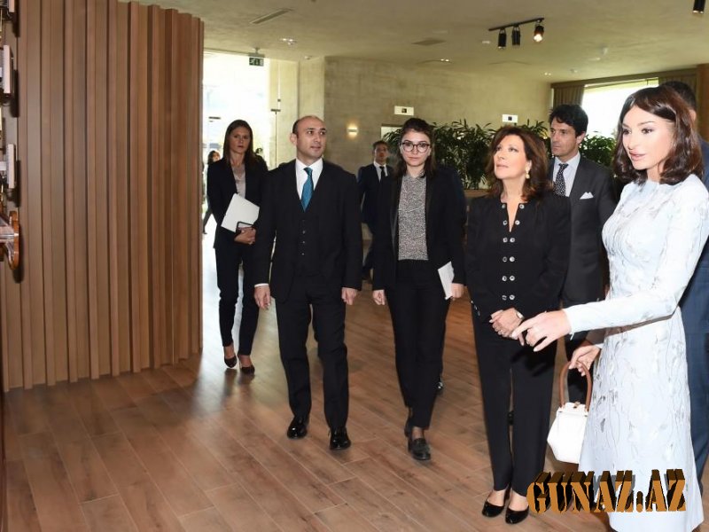 Mehriban Əliyeva İtaliya Senatının sədri ilə görüşdü - Foto
