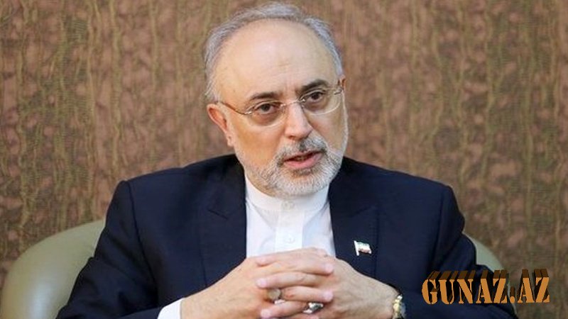 Salehi: Nüvə layihələrində İranın Avropa ilə həmkarlıqları davam edir