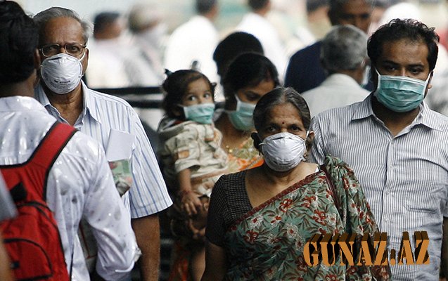 Hindistanda bir ayda “donuz qripi”ndən 312 nəfər ölüb