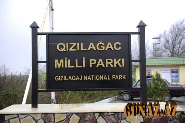 Qızılağac Milli Parkı haqqında Əsasnamə təsdiqləndi