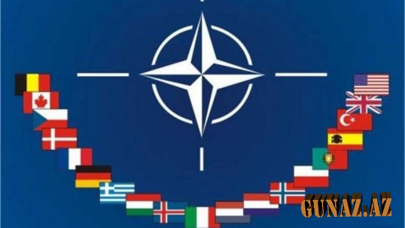 "Qarabağ münaqişəsinin bir yolu var - NATO rəsmisi