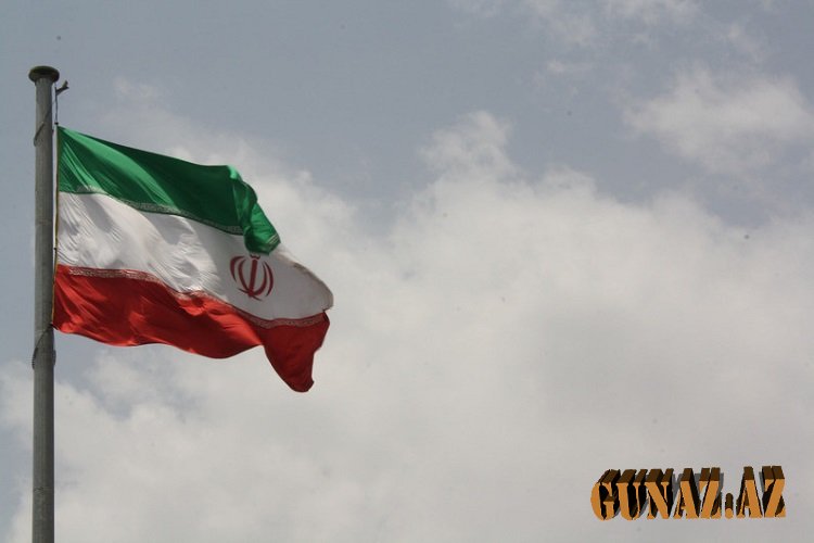 İran it və pişiklər üçün yem idxalını qadağan etdi