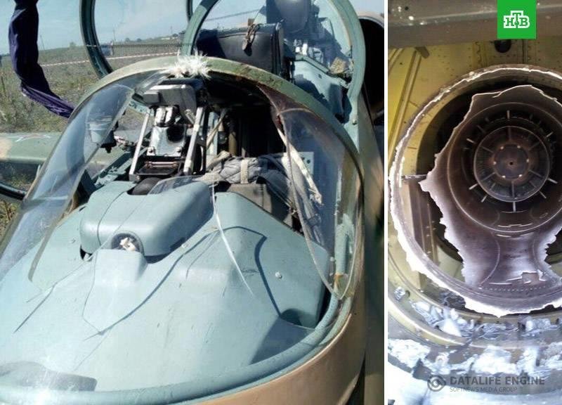 Quşların pilot kabinəsinə çırpılması – Şok fotolar