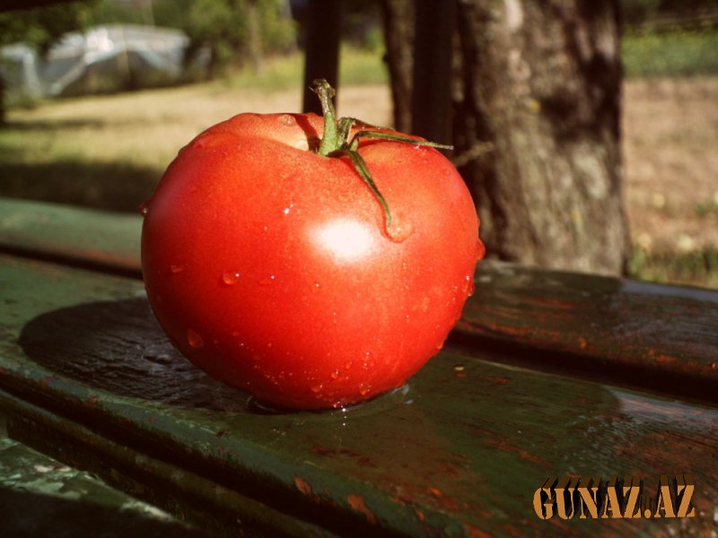 1 stəkan pomidor şirəsinin Möcüzəsi – Radiasiyanı təmizləyir, xərçəngdən qoruyur