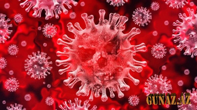 Azərbaycanda daha 273 nəfərdə koronavirus aşkarlandı