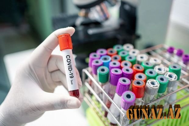 Naxçıvanda koronavirusa yoluxma qeydə alınmadı - Ölkə üzrə son statistika