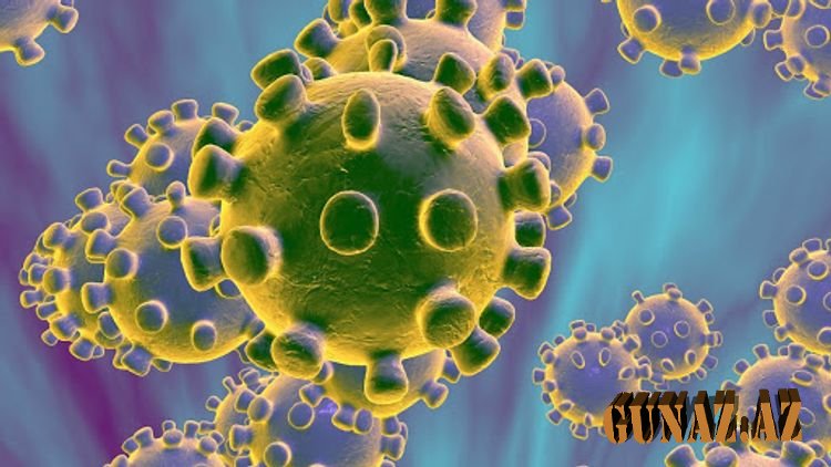 Bu şəxslərdə koronavirusa qarşı immunitet var