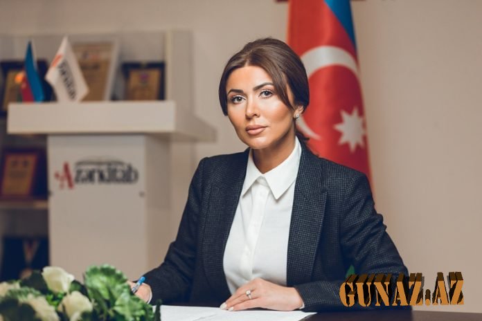 Azərbaycan Prezidenti birdəfəlik Paşinyanın səsini kəsdi