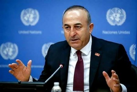 Çavuşoğlu Almaniyada almanlara dərs verdi