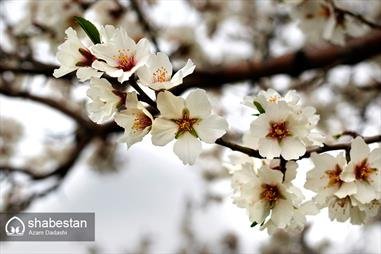 Zühur zamanı yer diriləcəkdir