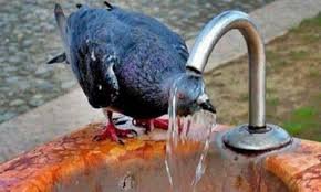 Sabah havanın temperaturu 33 dərəcəyə çatacaq