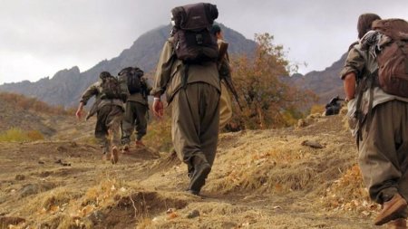 PKK-nın 23 üzvü zərərsizləşdirildi