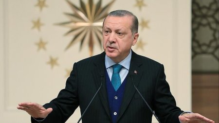 Türkiyə prezidenti: "“Zeytun budağı”nı birlikdə zəfərə çatdıracağıq"