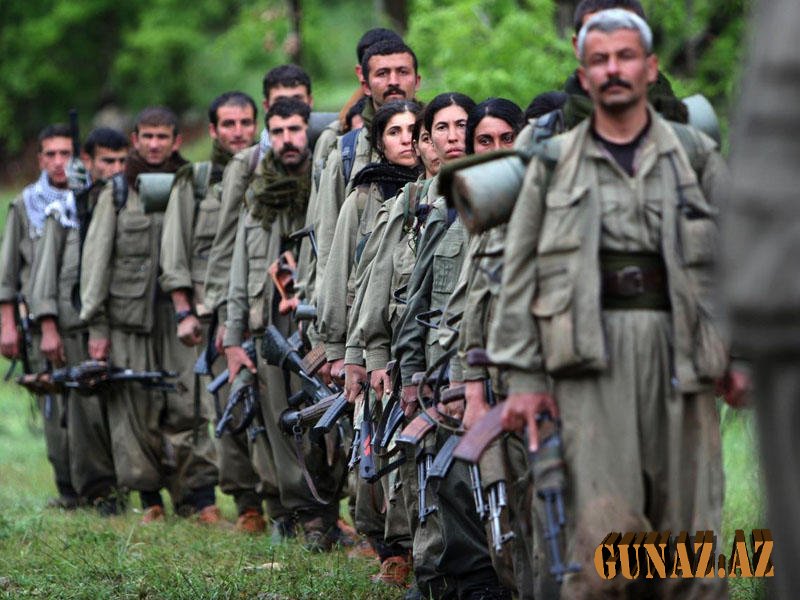 Türkiyə PKK-ya tarixi zərbə vurdu