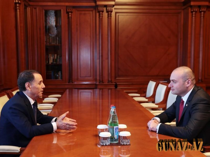 Novruz Məmmədov Gürcüstanın Baş naziri ilə görüşdü - FOTO
