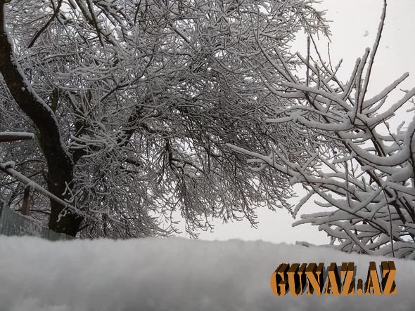 Şamaxıda qar gözəl mənzərə yaratdı