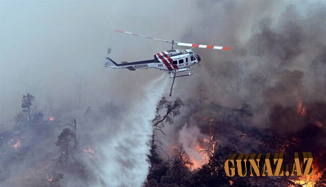 Meşələri biz yandırmışıq – PKK siyahı yaydı