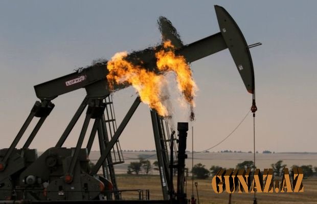 OPEC ölkələri neft ixracından 711 milyard dollar qazanıb