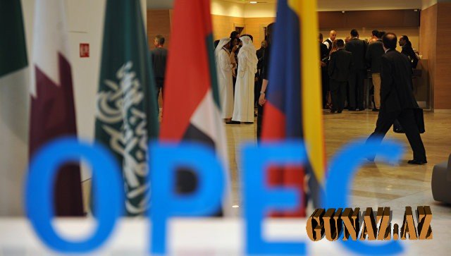 OPEC: Dünya iqlim dəyişikliyinə qarşı mübarizədə neftdən imtina etməyəcək