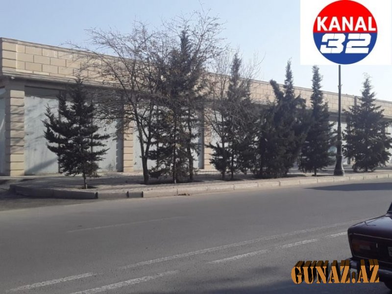 İcra başçısının fantastik varidatı-ÖZƏL FOTOLAR