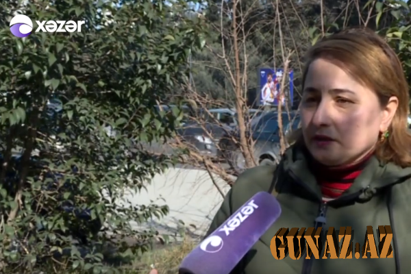 Onlayn turpaket alan vətəndaşlar turizm şirkətinin dələduzluğu ilə üzləşib - VİDEO