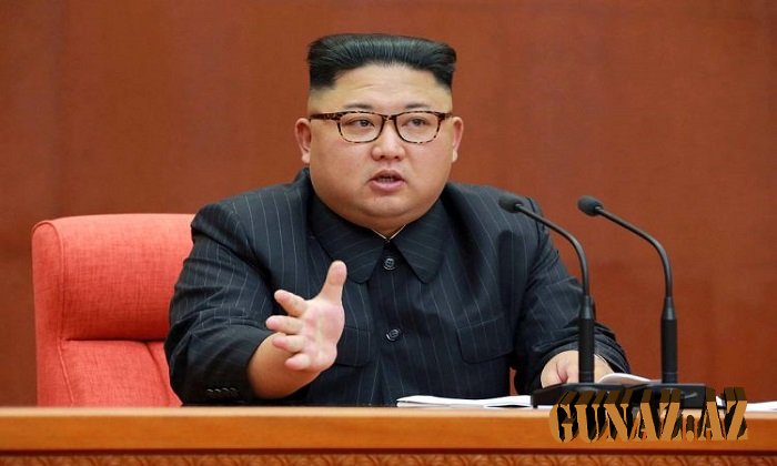 Kim Çen İn komaya düşdü