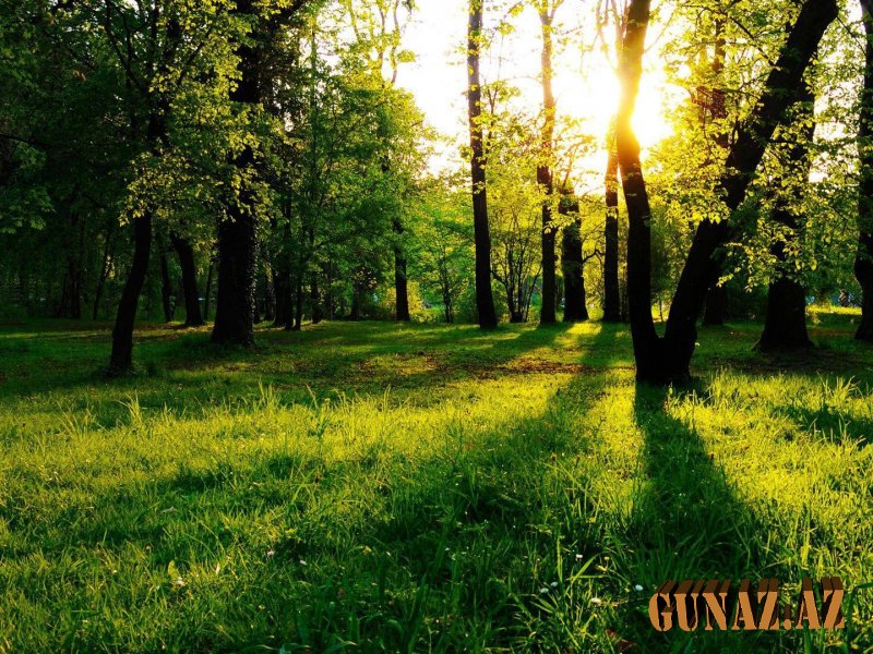 Bazar günü hava necə olacaq?