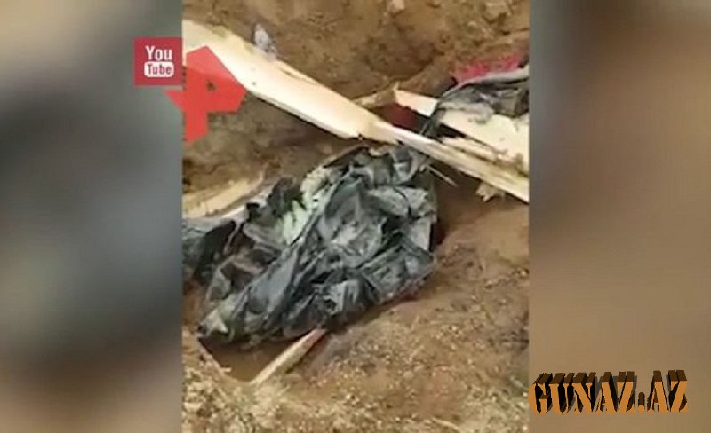 Ayı meyiti məzardan çıxarıb parçaladı-DƏHŞƏT YAŞANIB