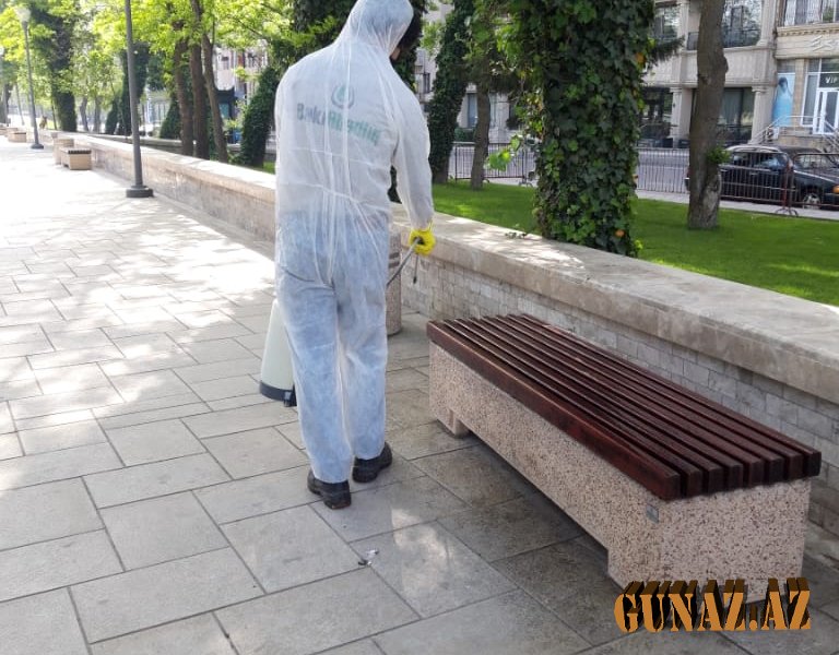 Parkların açılmasına son hazırlıqlar həyata keçirilir- FOTO