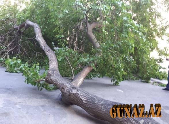 Güclü külək kənd sakinlərini qazsız qoydu