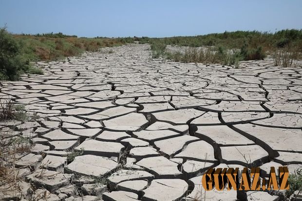 Coğrafiya İnstitutu: “Builki quraqlıq Aran rayonlarında su ehtiyatının azalmasına səbəb olacaq”