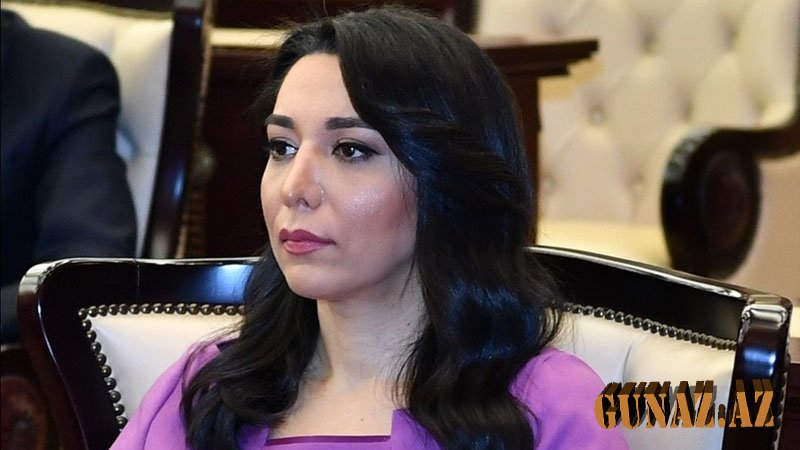 Azərbaycanın Ombudsmanı fəaliyyətini dondurub