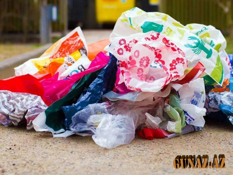 Daha bir ölkə plastik paketlərdən imtina etdi