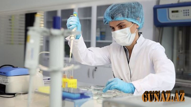 Azərbaycanlı alim koronavirusun dərmanını tapdı - VİDEO