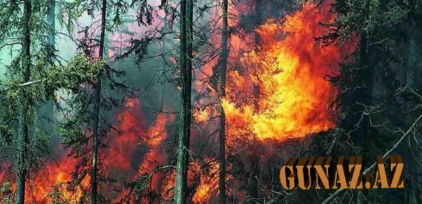 Düşmən Daşkəsəni atəşə tutdu, yanğın başladı